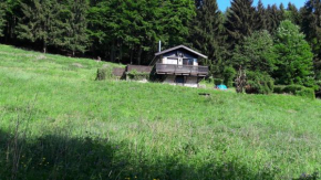 Ferienhaus Moosbachtal Thüringer Wald bei Oberhof